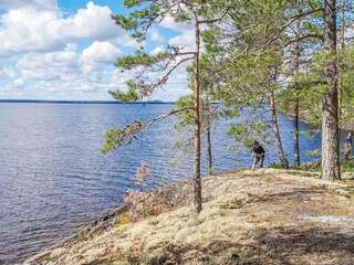 Фото Дома для отпуска Holiday Home Poukama г. Pielavesi